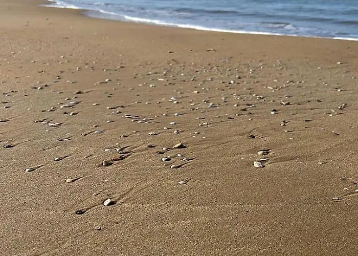 Appartement Berenice